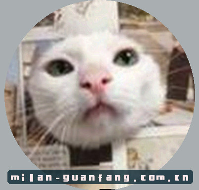 孙岩